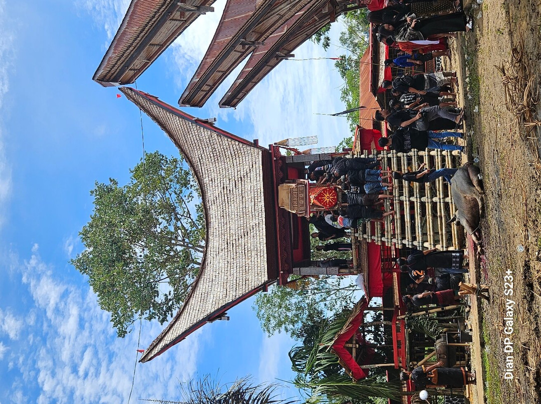 TORAJA TOUR WITH GUIDE SERVICE.景点图片