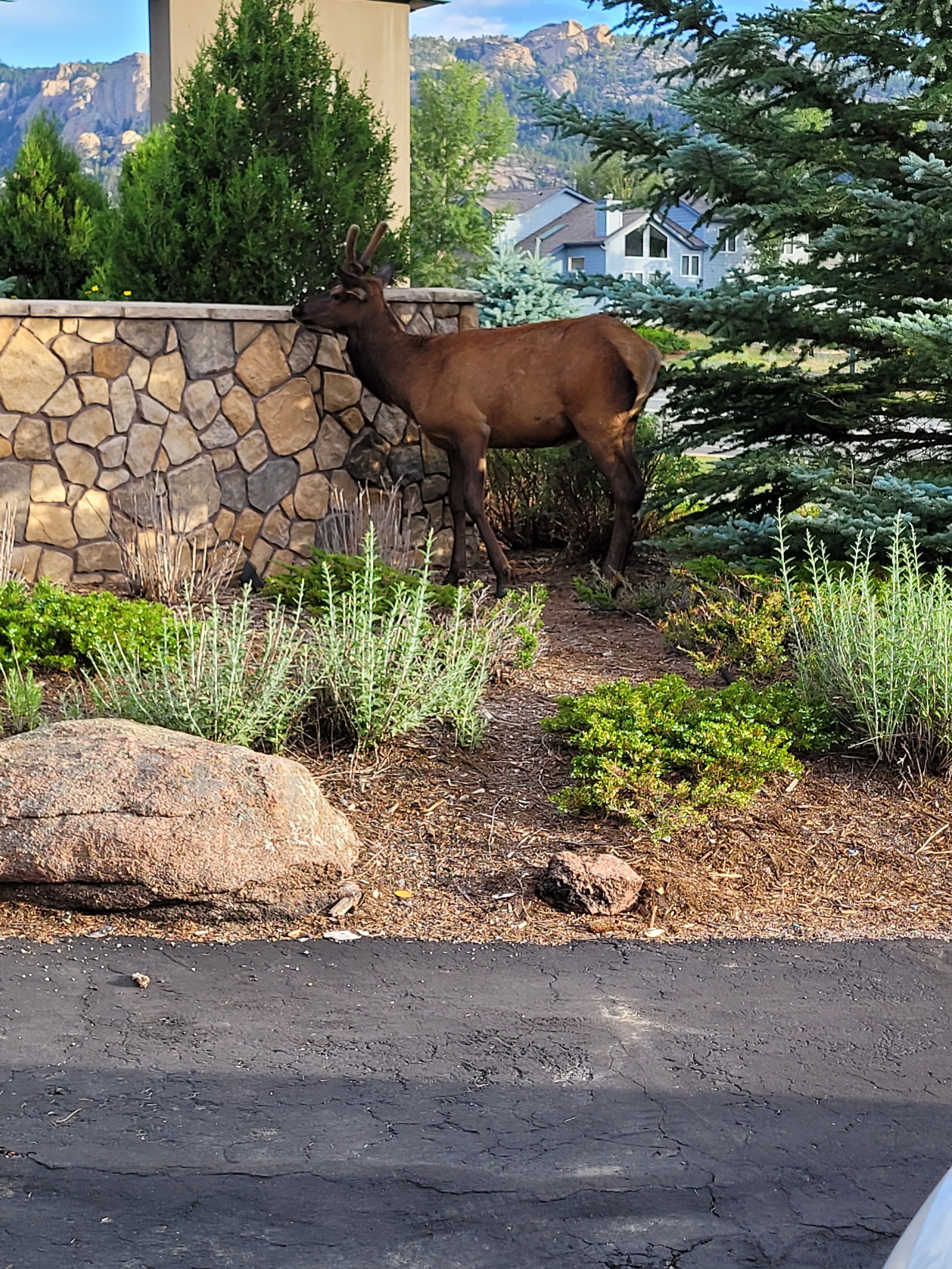 Quality Inn Estes Park-浴室