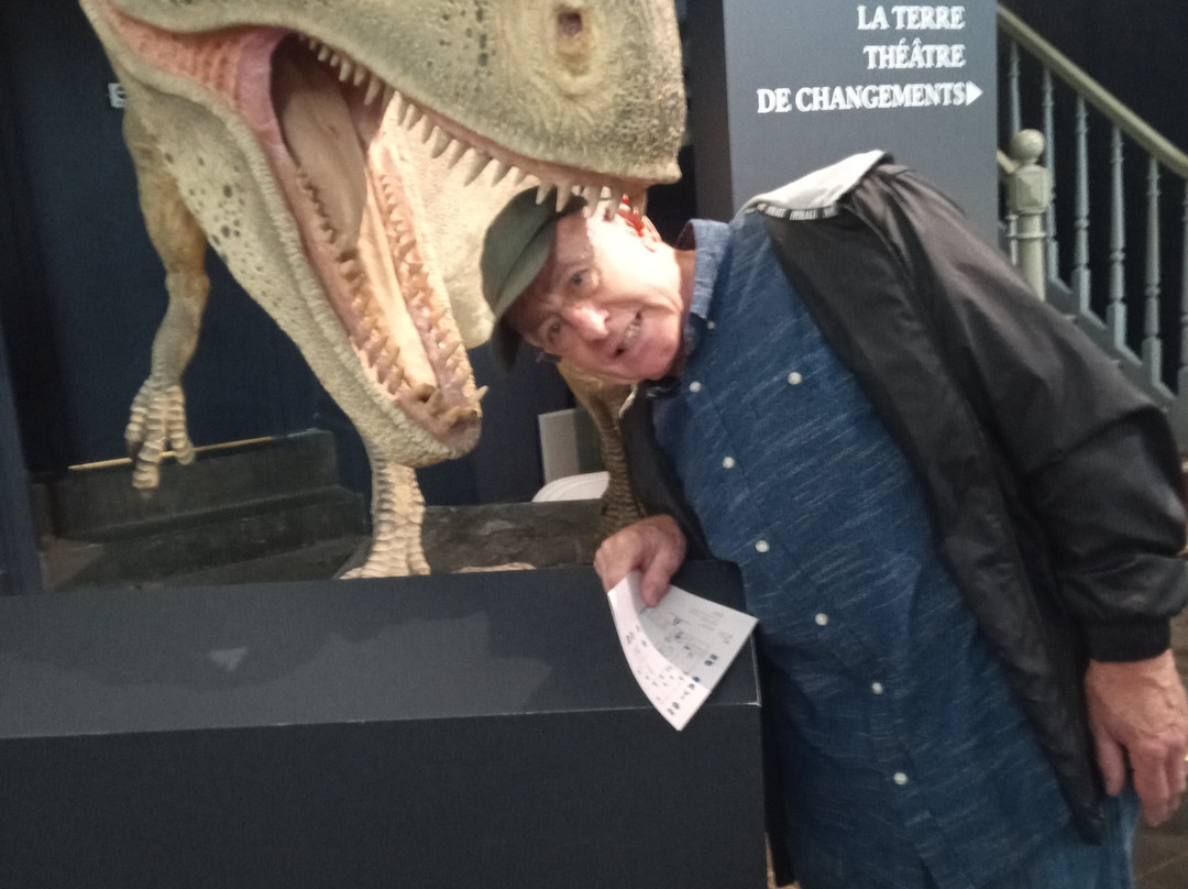Musee d'Histoire Naturelle de Lille-里尔必去景点