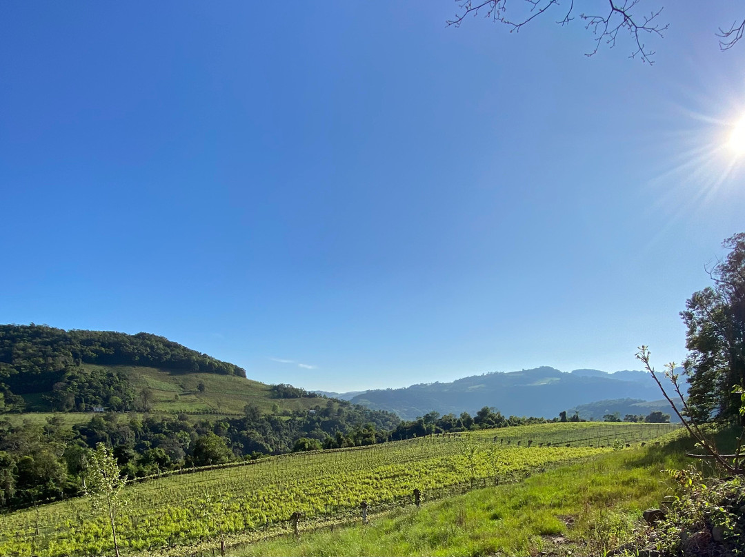 Adega Giovanni Tasca