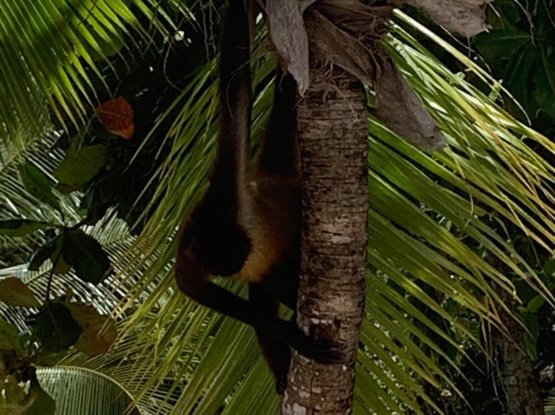 Tour’s & More PTY-巴拿马城必去景点