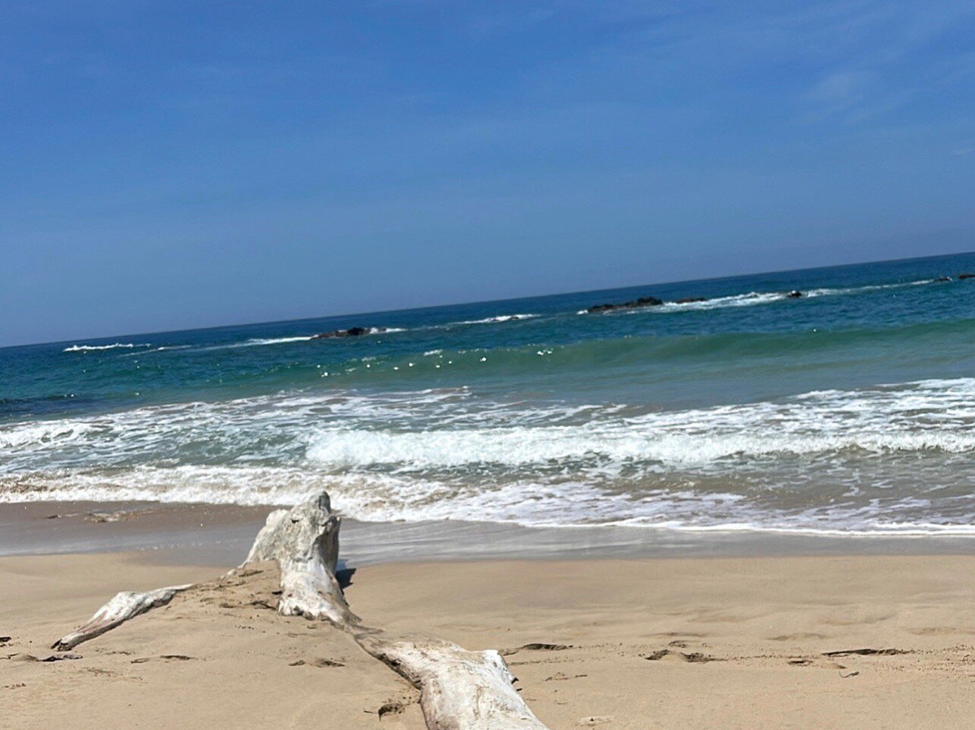 Playa Caracolito景点图片