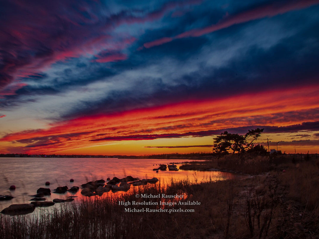 John C. Bartlett, Jr. County Park at Berkeley Island景点图片