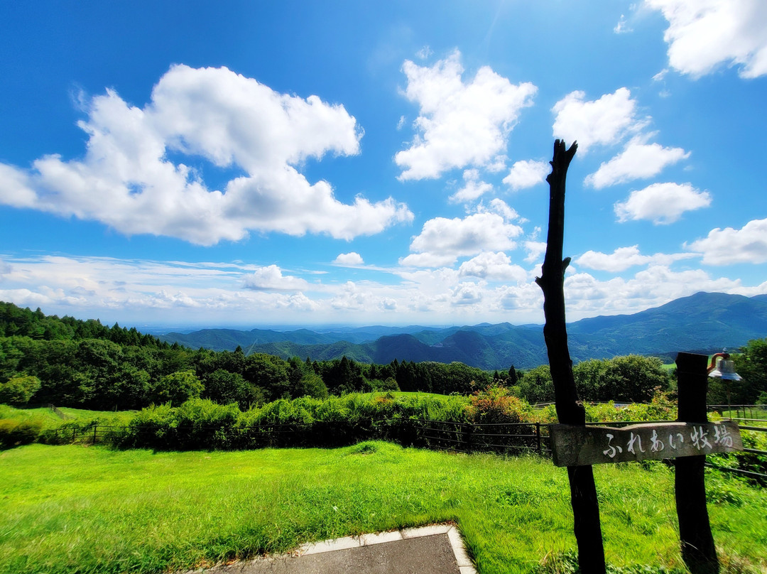 Chichibu Kogen Farm-东秩父村必去景点