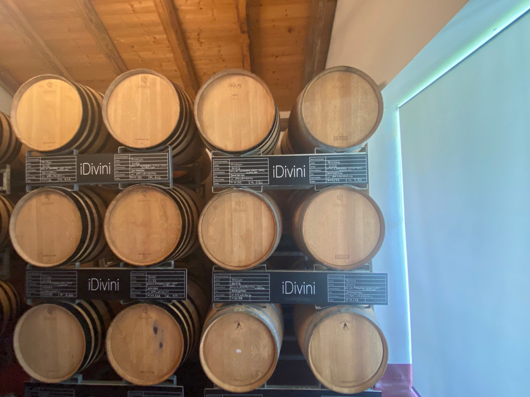 Azienda Vitivinicola Idivini-Isola d'Asti必去景点