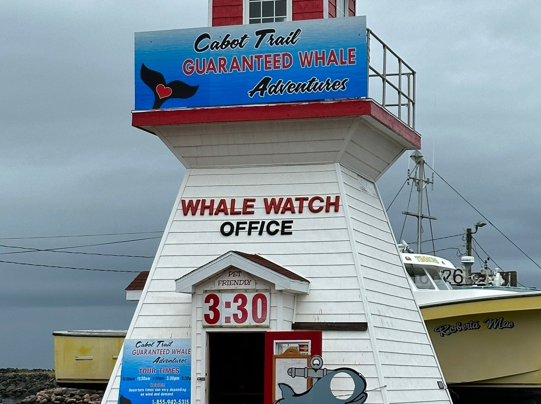 Cabot Trail Guaranteed Whales Adventures景点图片