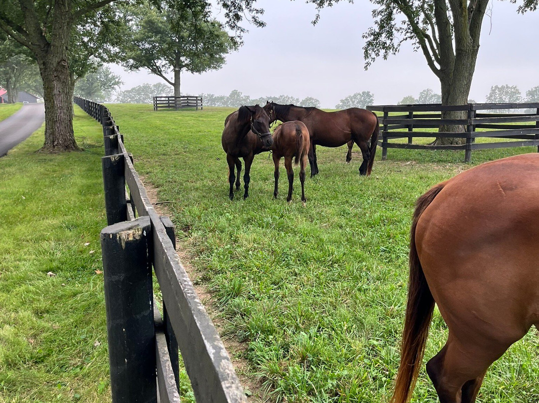 The Guesthouse at Rosecrest Farm主图