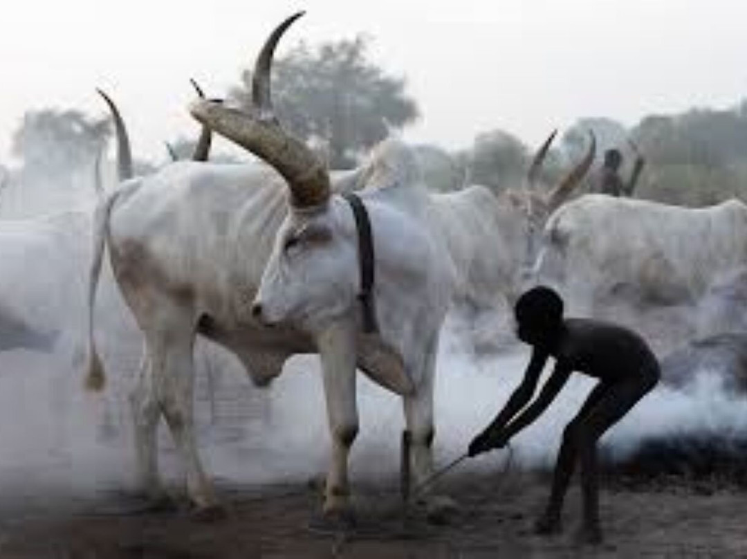 juba tours-Juba必去景点