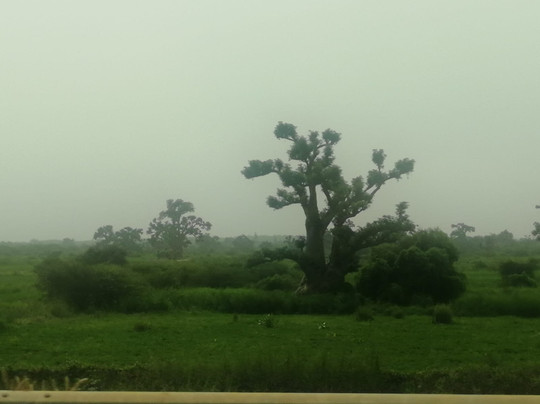 Hotel Riu Baobab主图