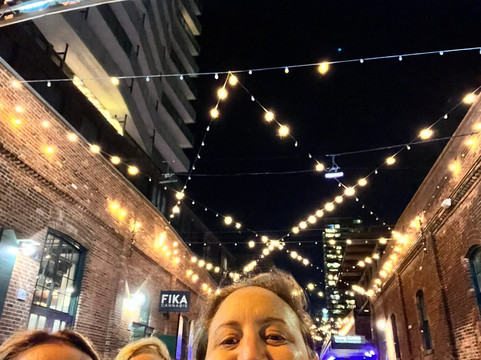 See Sight Tours-多伦多必去景点