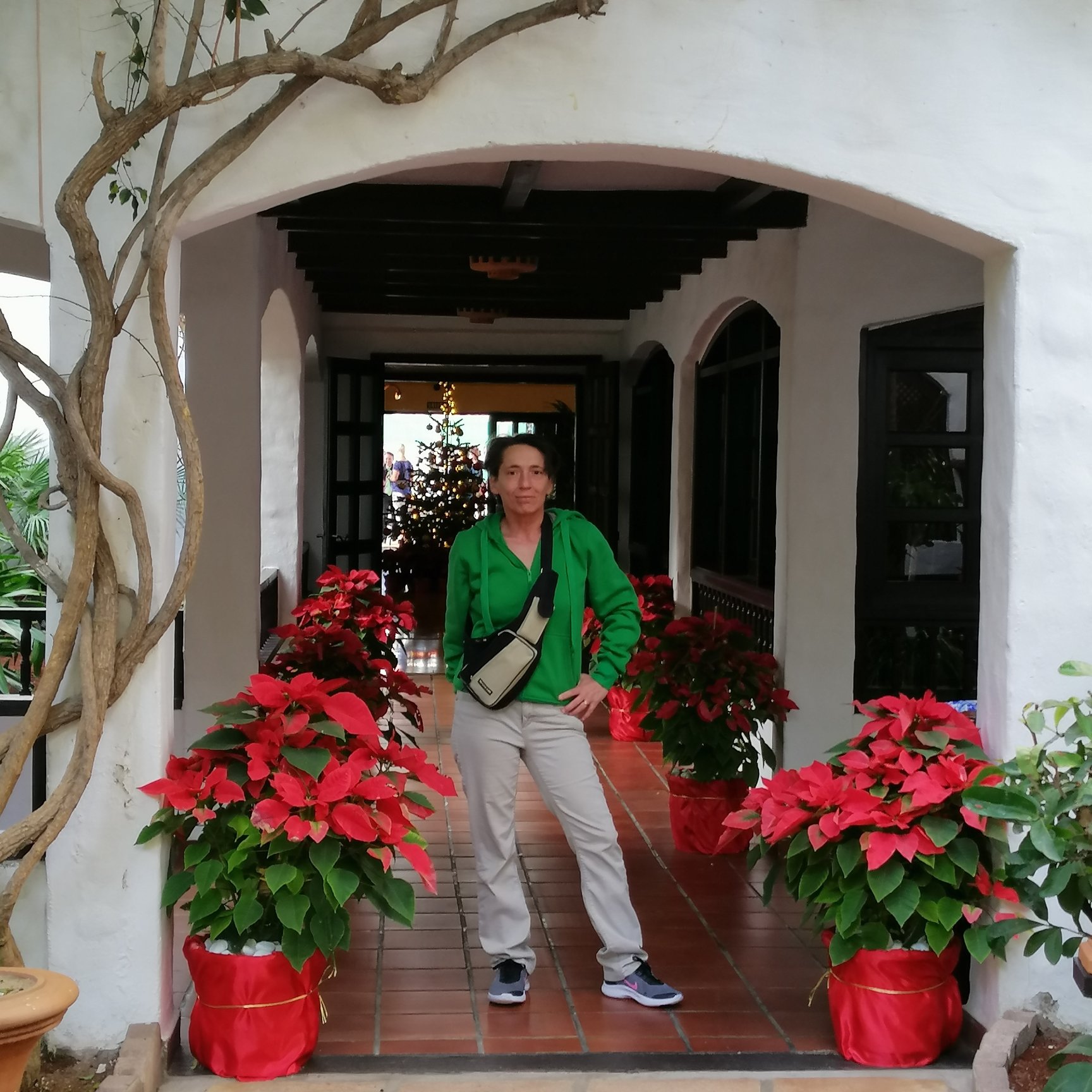 Hotel El Tropical-portrait