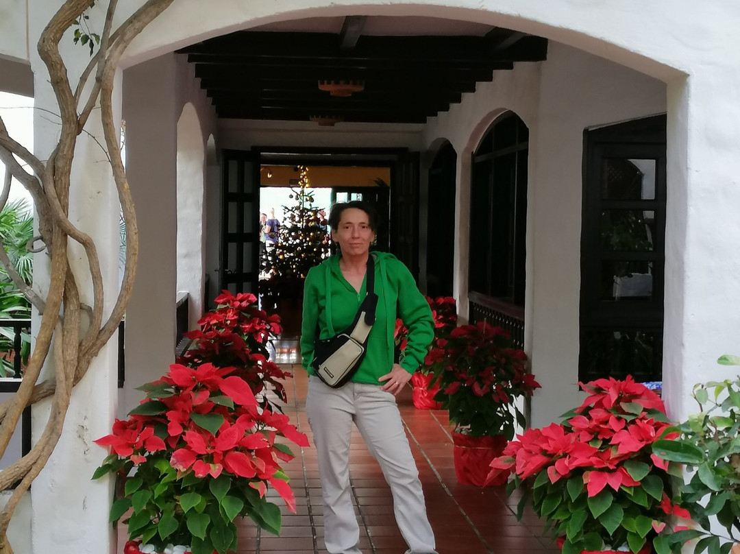 Hotel El Tropical主图