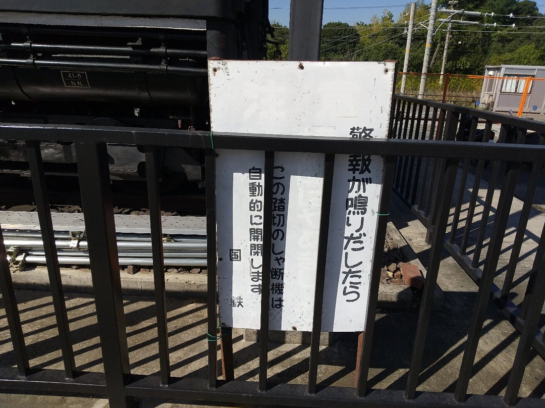 C11 265 Steam Locomotive-半田市必去景点