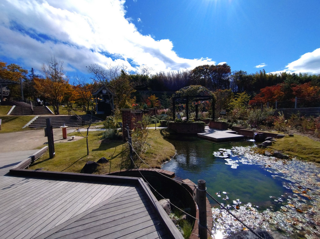 Prince William's Park-本宫市必去景点