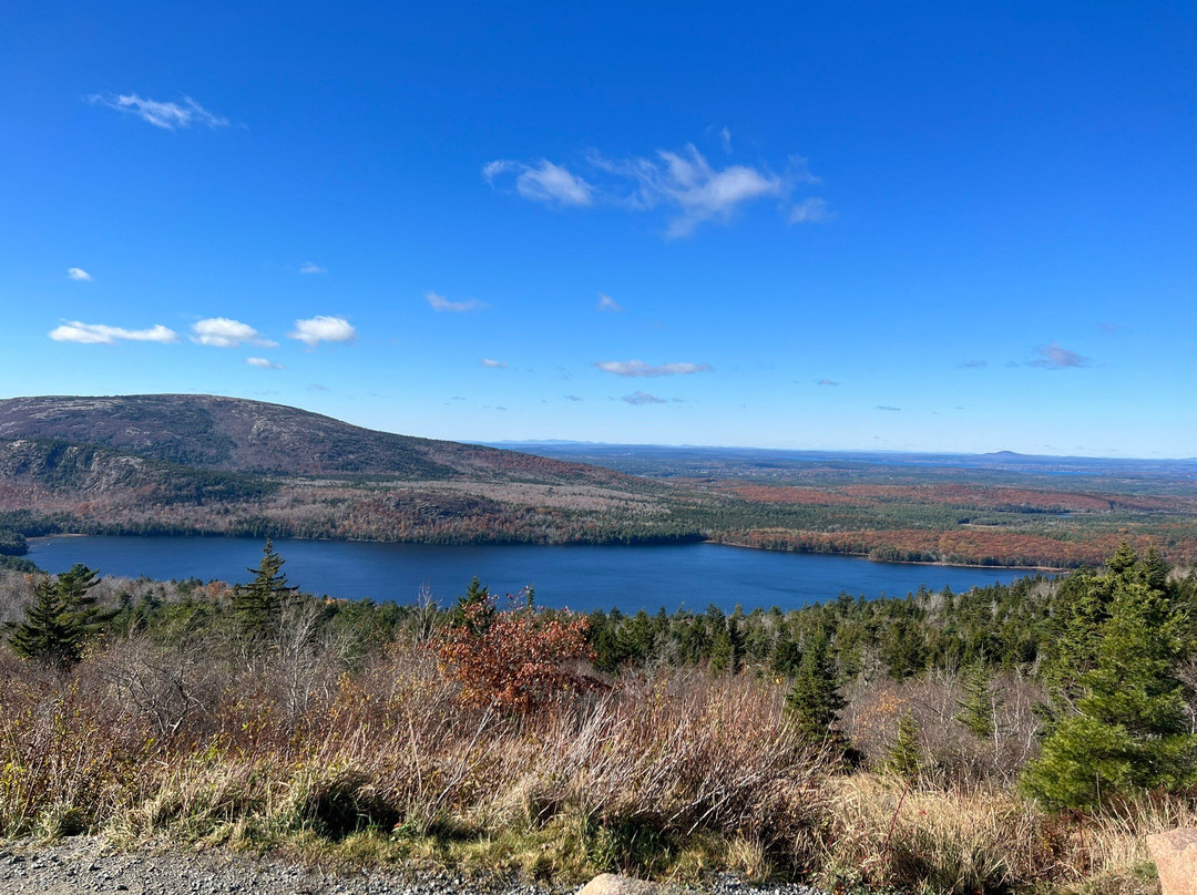 Acadia GEM  Electric Vehicle Rentals-巴港必去景点