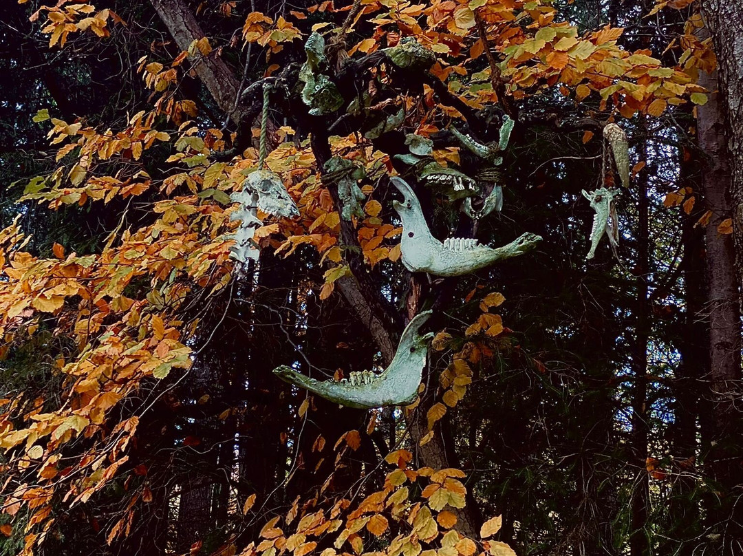 Wildgarten-Furth im Wald必去景点