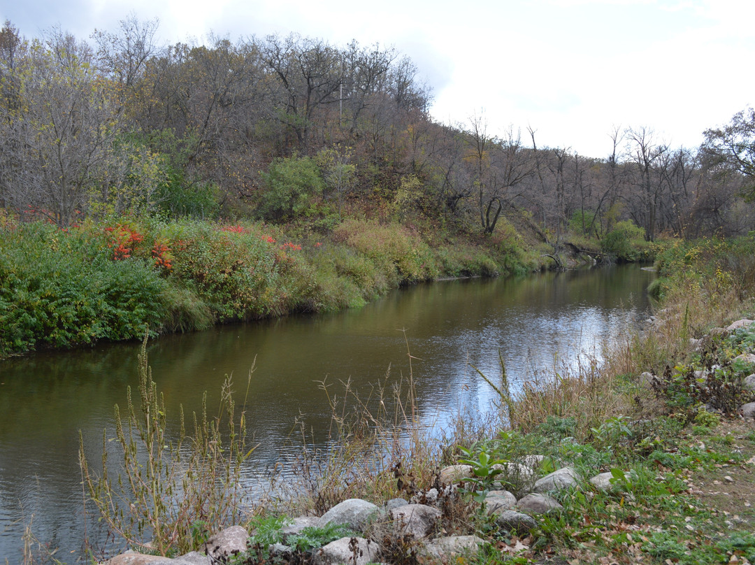 Turtle River State Park景点图片