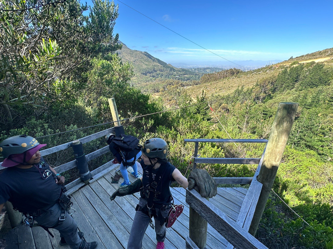 SA Forest Adventures-康士坦提亚必去景点