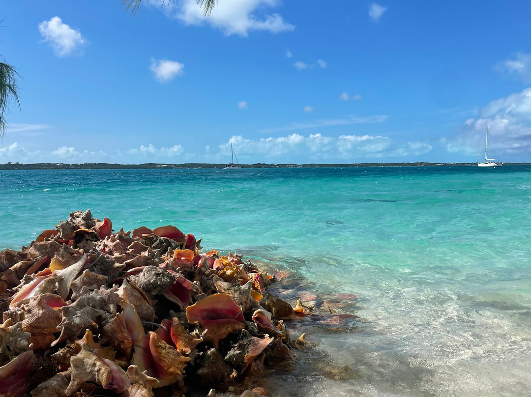 Garvin Turtle-George Town必去景点