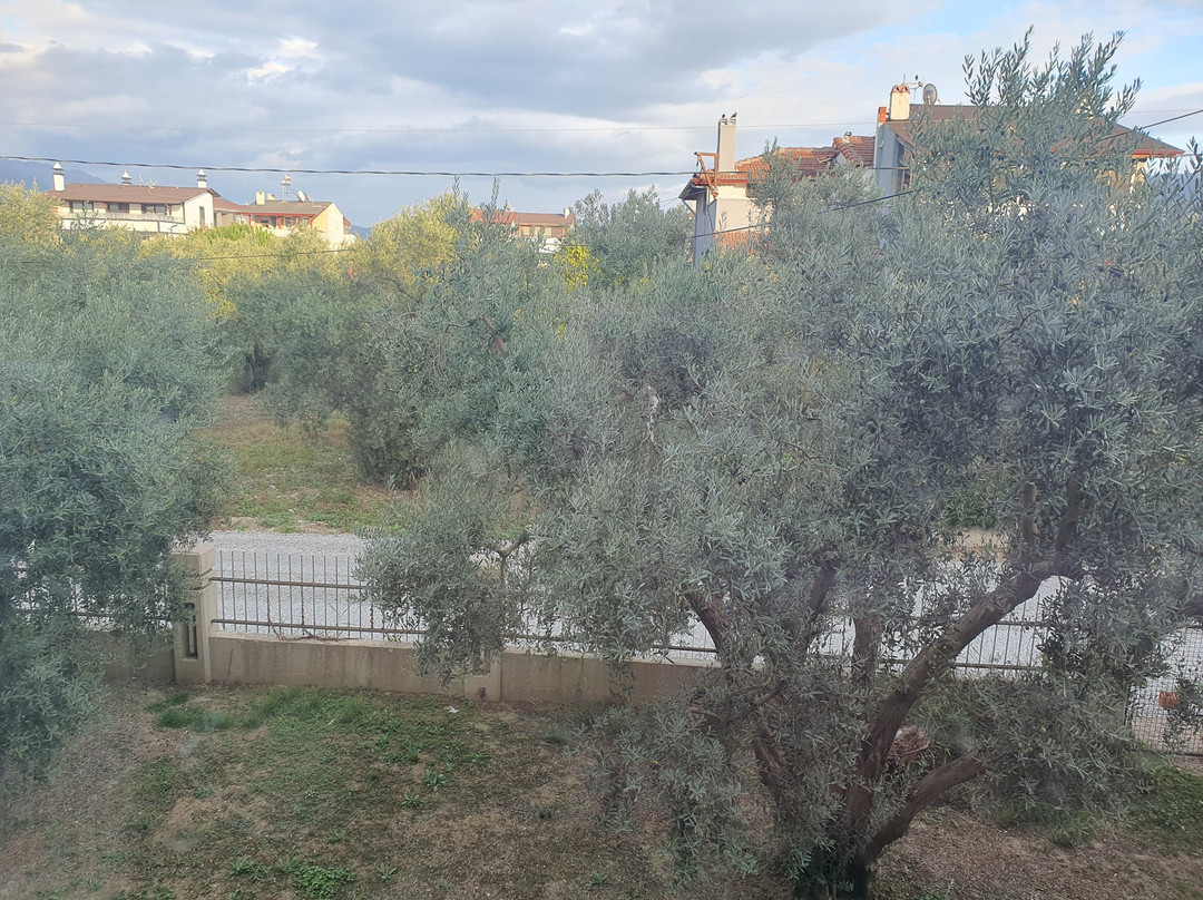 Hotel Zeytin Bahcesi主图