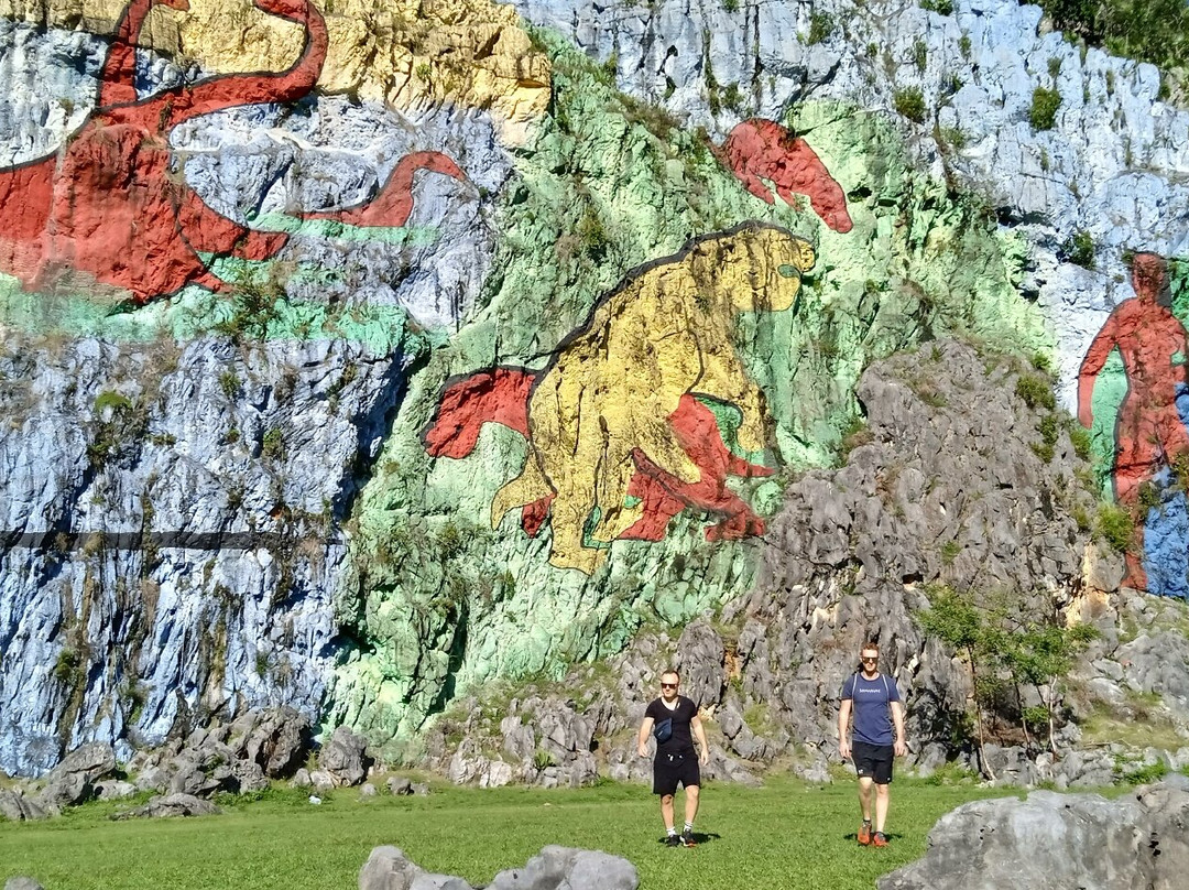 Parque Nacional Viñales.-维纳勒斯必去景点
