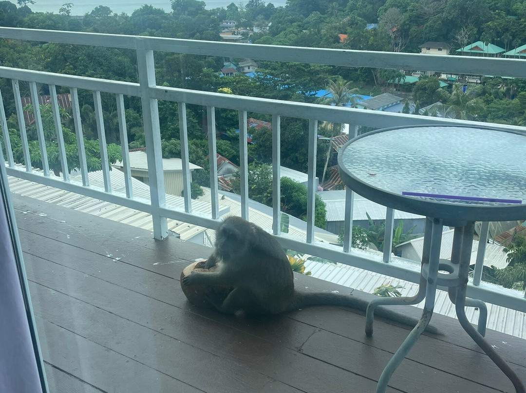 Blue View House Phi Phi主图