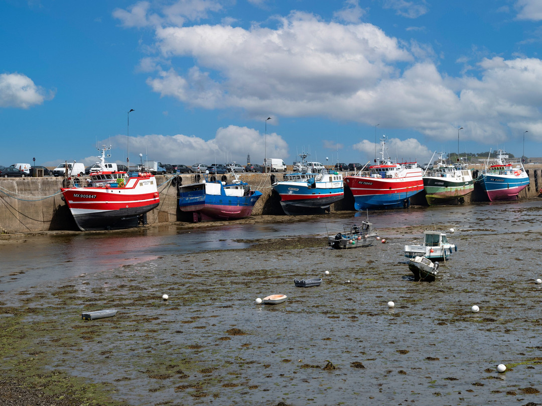 Port de Roscoff