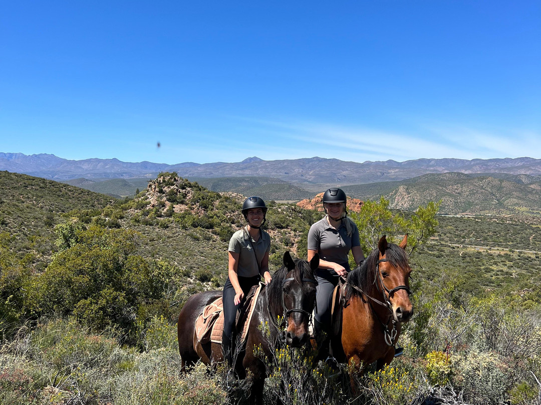De Rust Horseriding - Klein Karoo Horse Adventures-德鲁必去景点