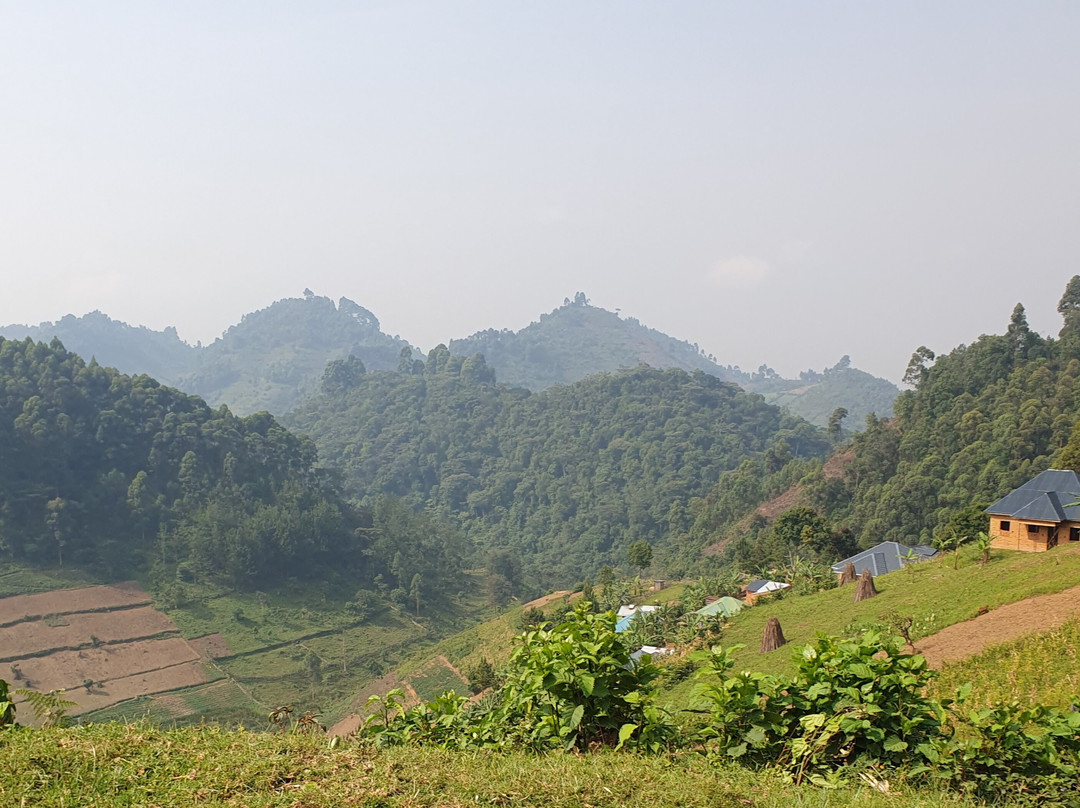 Home of Kigezi Museum-Kisoro必去景点