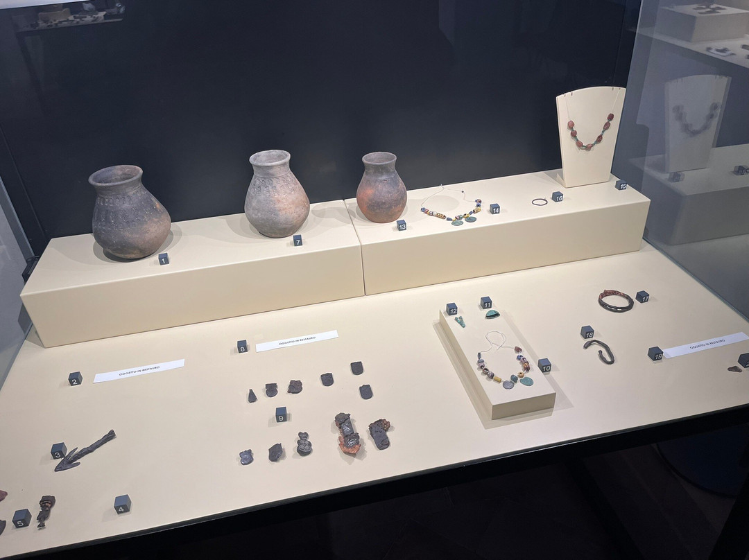 Museo Archeologico Nazionale della Lomellina景点图片