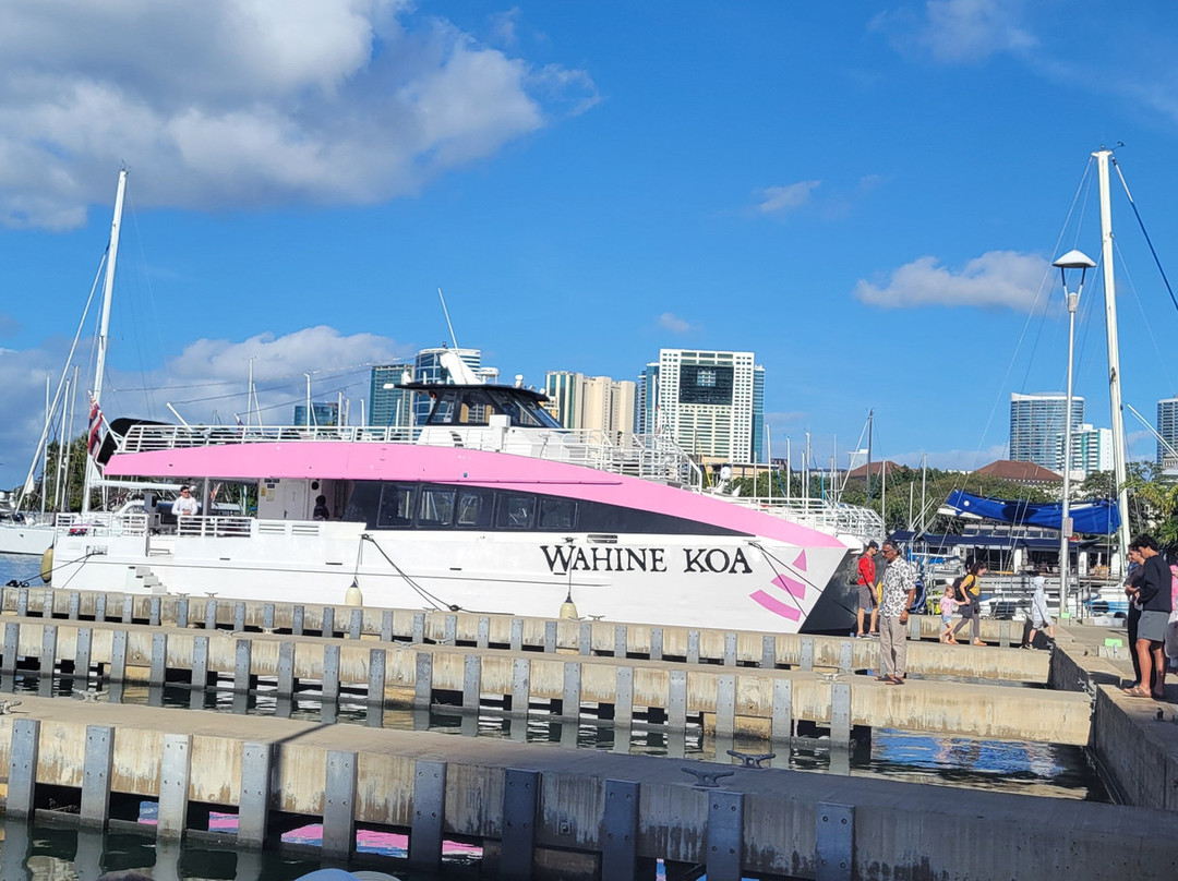 Pink Sails Waikiki-火奴鲁鲁必去景点