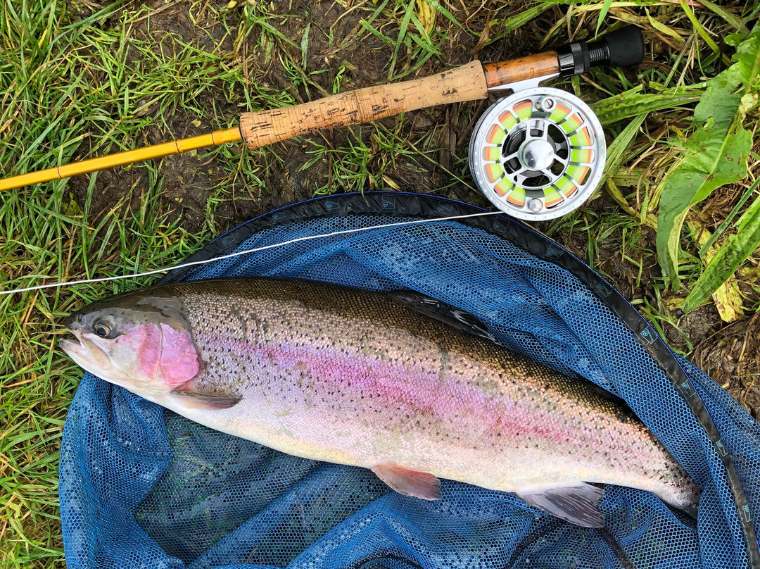 Hillside Trout Fishery-霍利伍德必去景点
