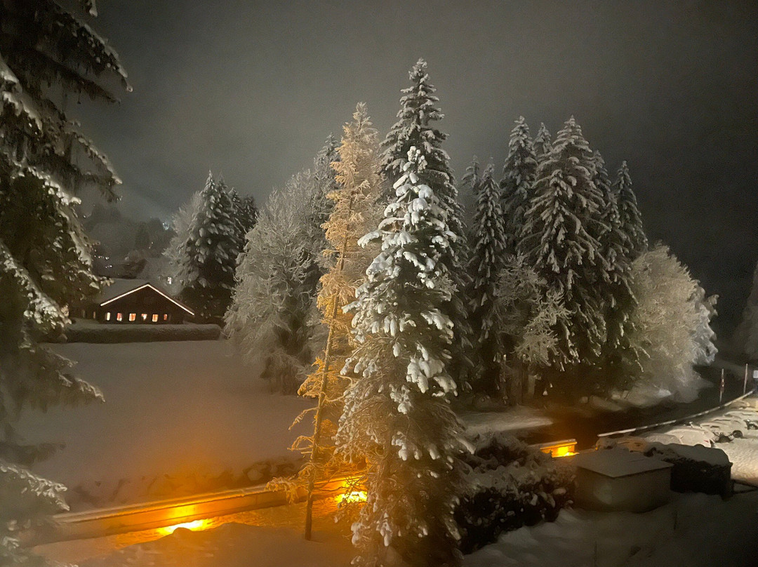 The Glacier Hotel主图