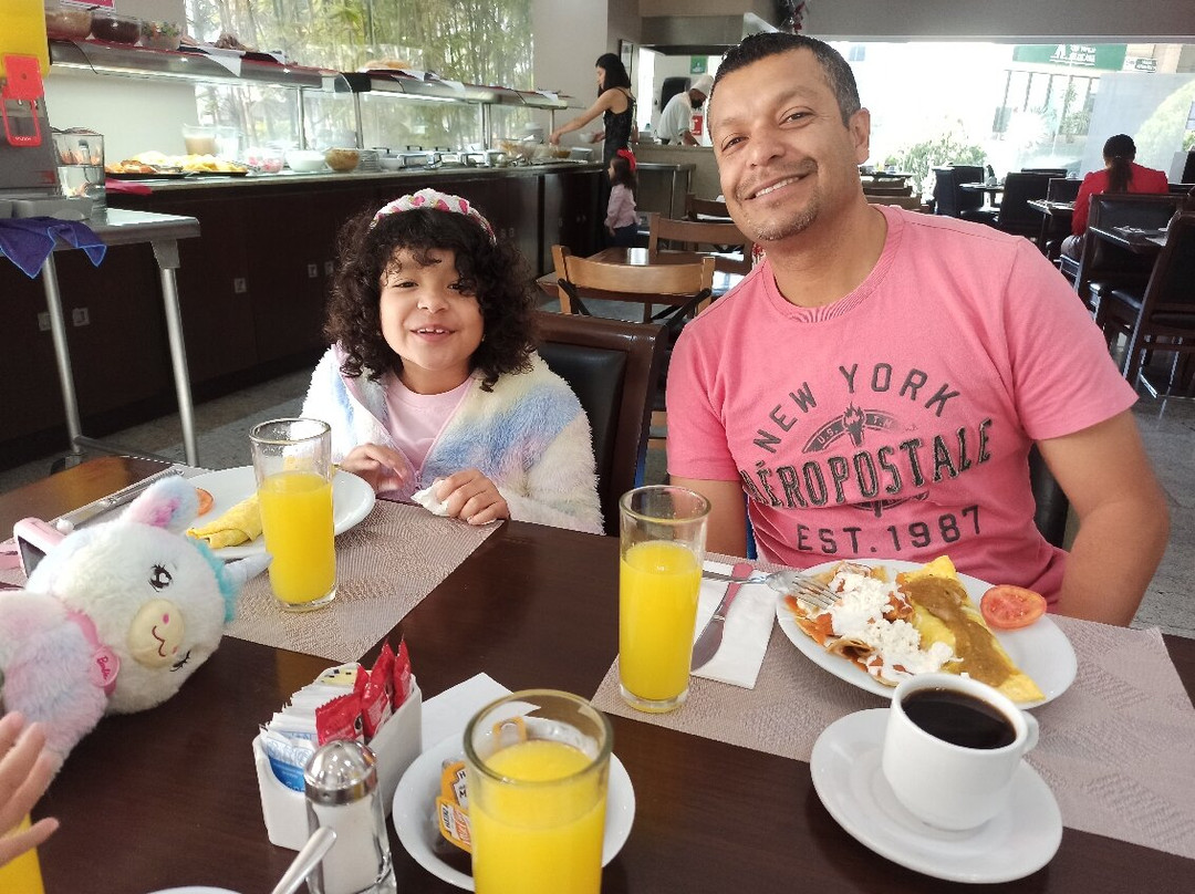 瑞尔阿拉米达日奎雷塔罗酒店主图