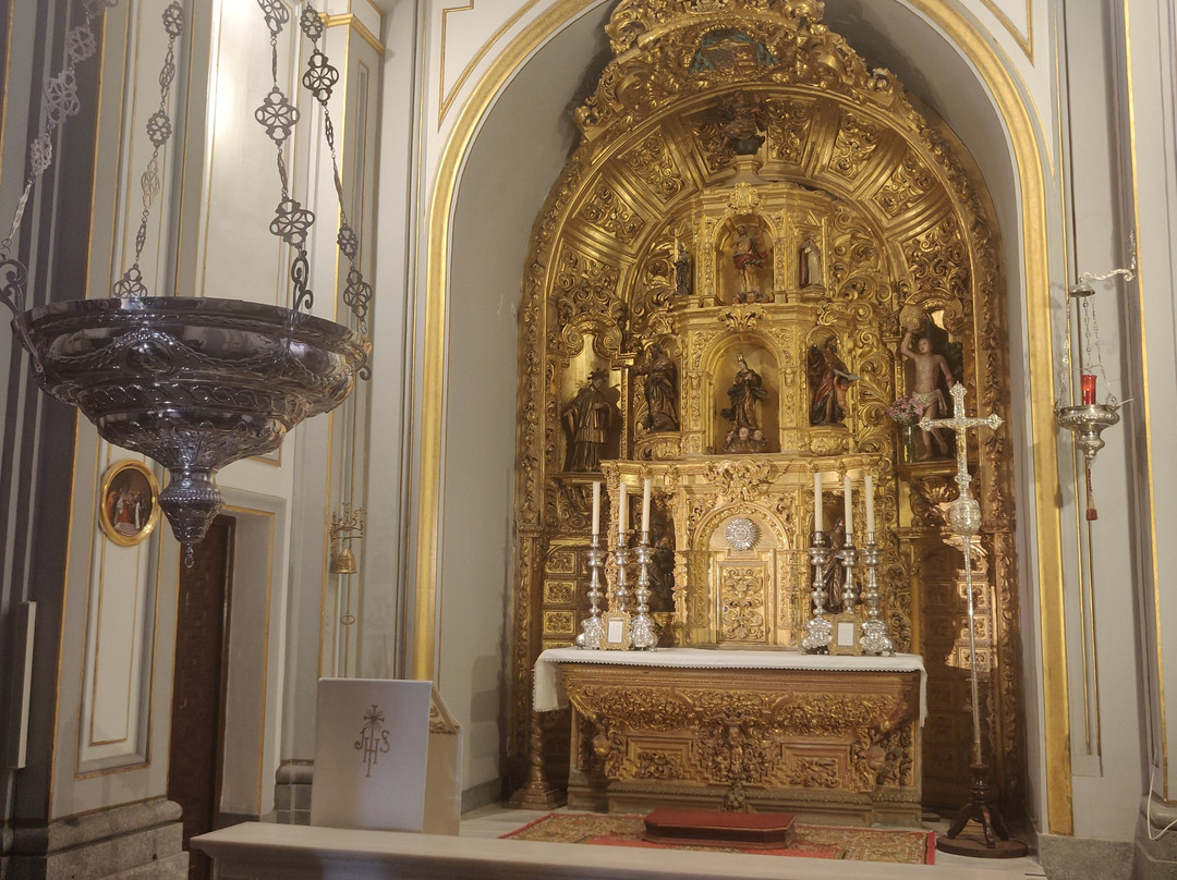 Catedral de Santa Maria de la Asuncion景点图片