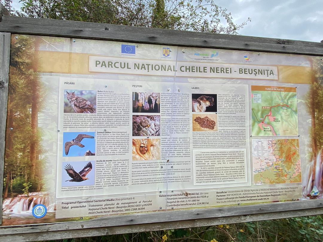 Nera Beusnita National Park景点图片