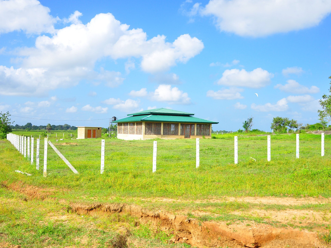 Veddas Culture Center-拜蒂克洛必去景点