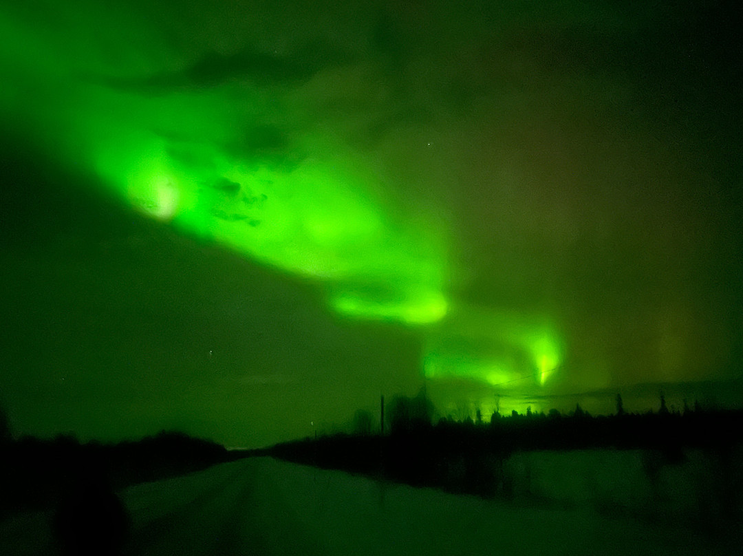 Paradise Lapland, Winter Activities in Kiruna景点图片