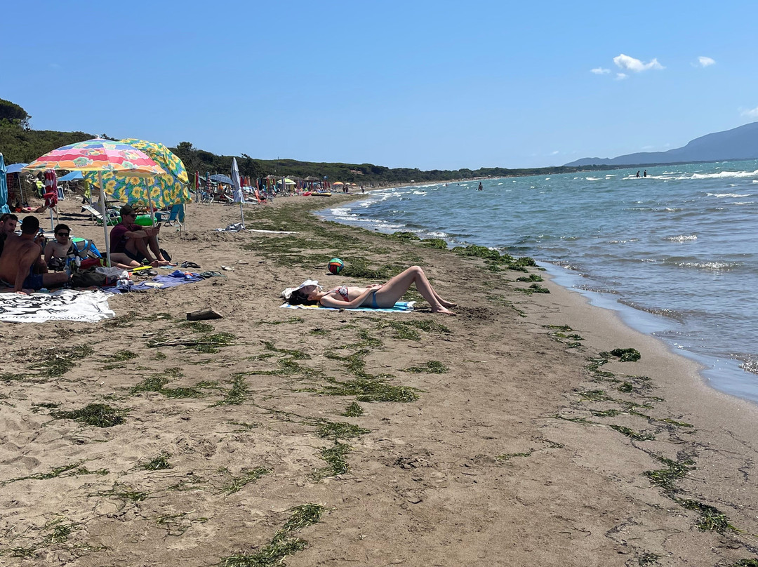 Camping Village Oasi主图