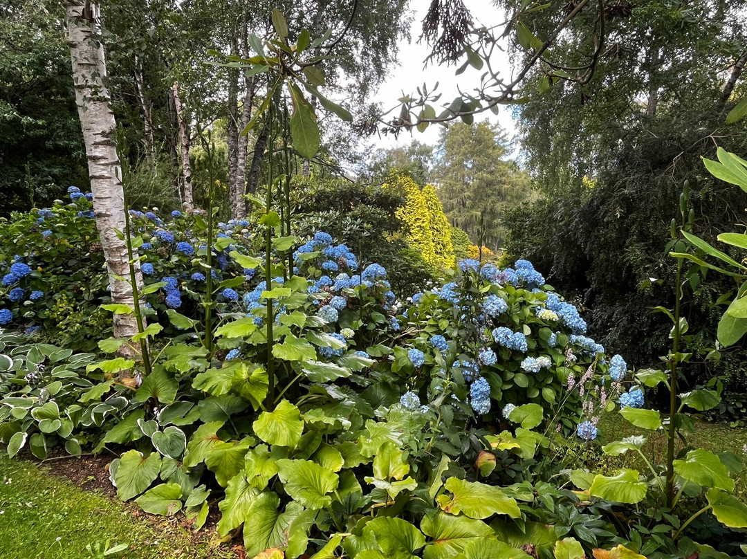 Maple Glen Gardens景点图片