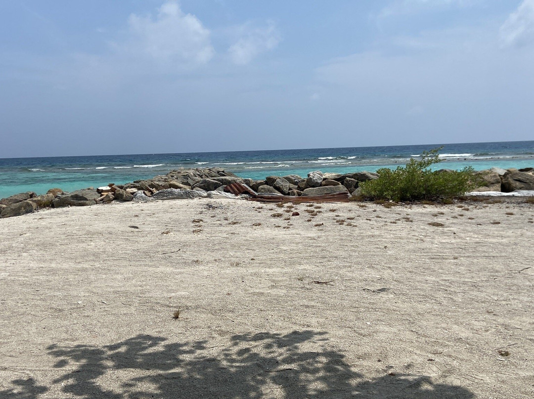 Fins Dive and Leisure Hotel主图