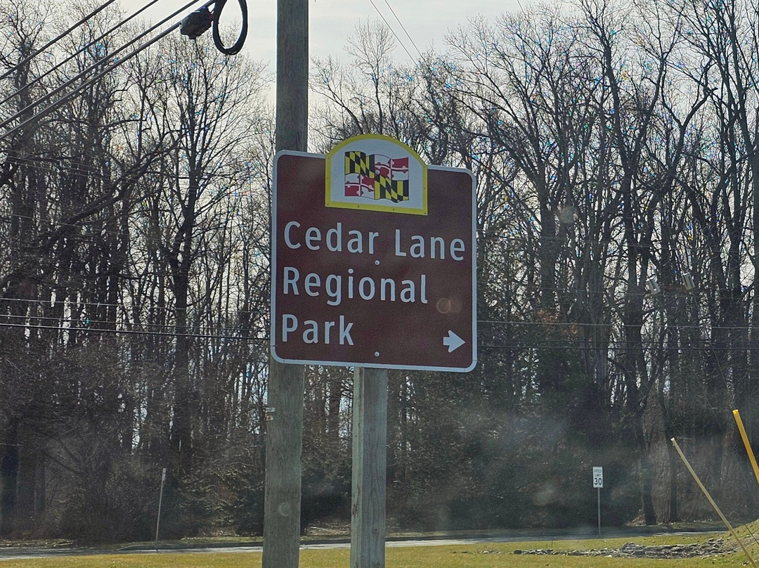 Cedar Lane Regional Park景点图片