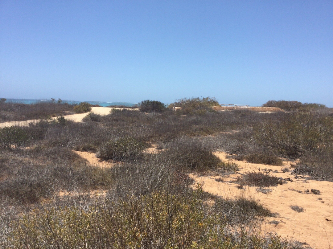 Osprey Bay-埃克斯茅斯必去景点