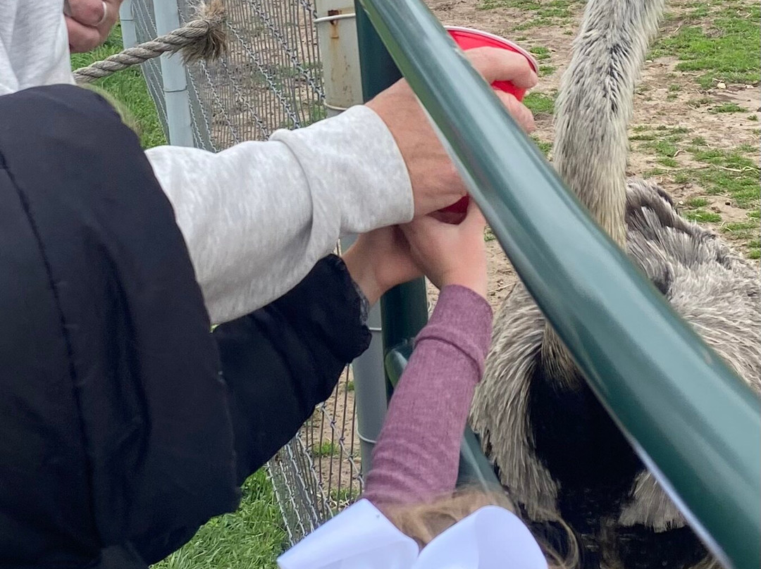 North Texas Safari Park-Bonham必去景点
