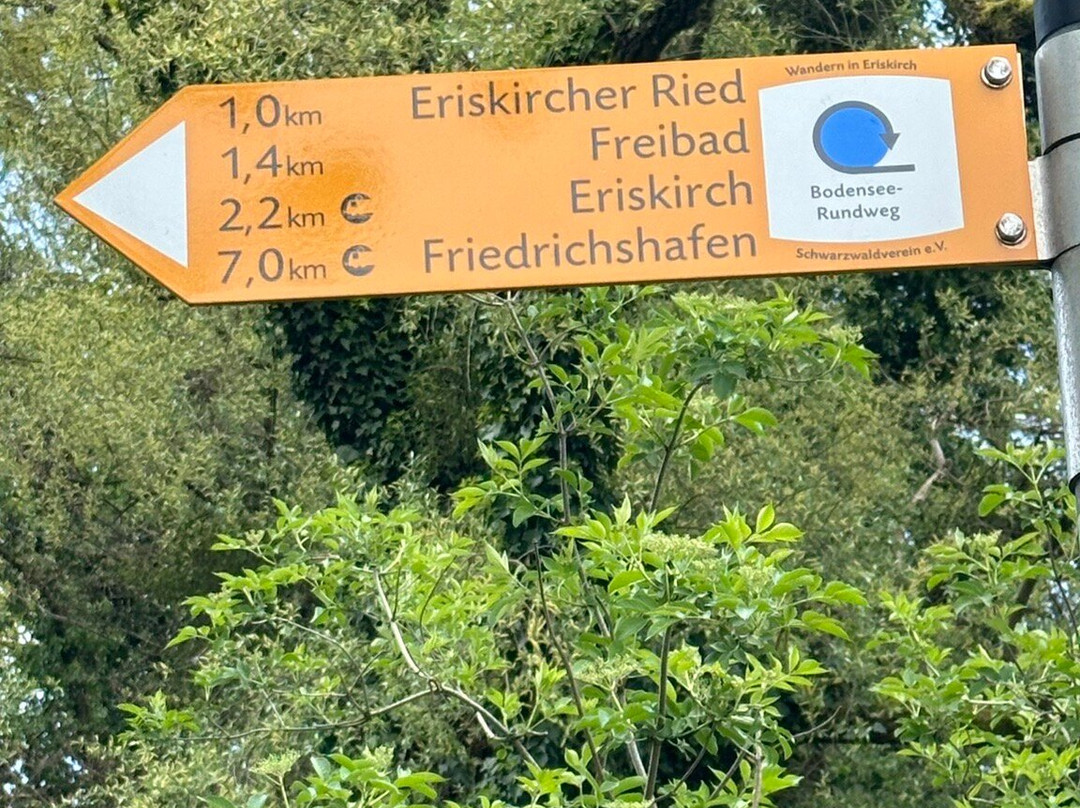 Eriskircher Ried Naturschutzgebiet景点图片