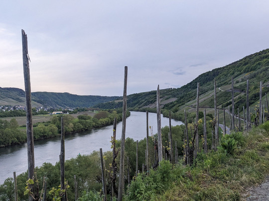 Weingut Himmeroder Hof主图