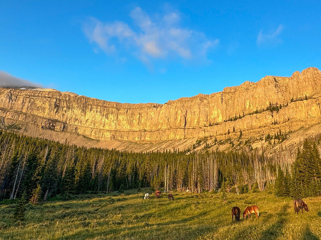 Dropstone Outfitting-Choteau必去景点