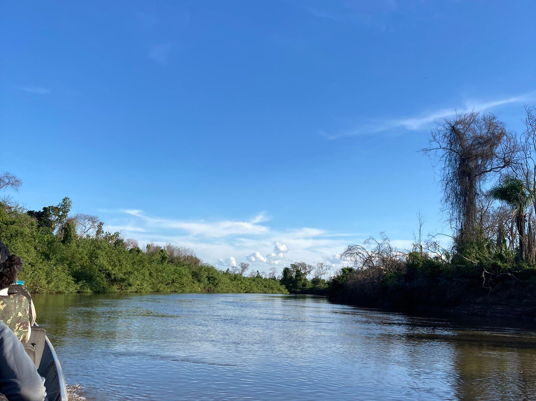 Pantanal Experiência景点图片