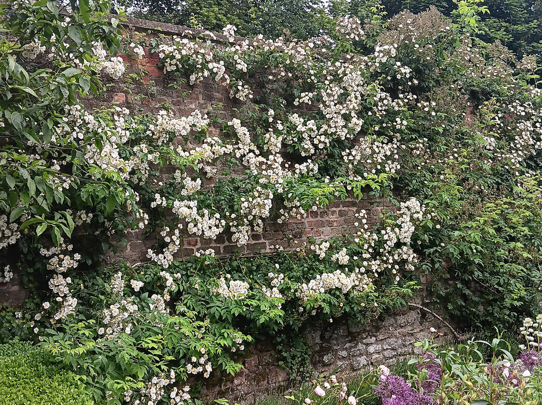 Peckover House景点图片