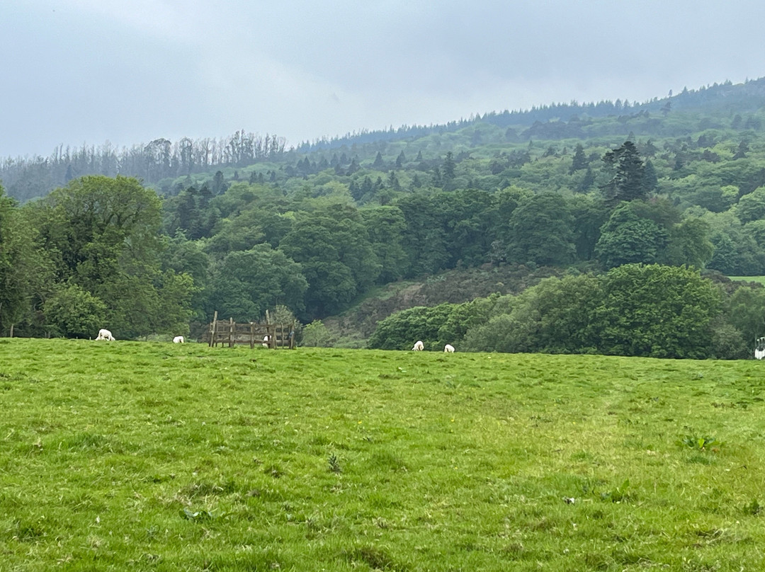 Ballyknocken House主图